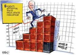 Biden's Milk Crate Challenge by Dave Whamond