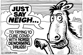 JUST SAY NEIGH by Monte Wolverton