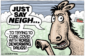 JUST SAY NEIGH by Monte Wolverton