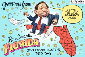 GREETINGS FROM DESANTIS FLORIDA by Ed Wexler