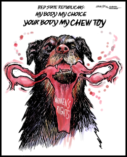 RED STATE CHEW TOY by J.D. Crowe