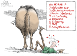 BIDEN FALLS OF THE HORSE by Dick Wright