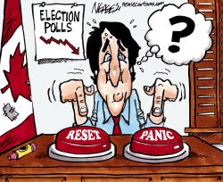 PANIC BUTTON by Steve Nease