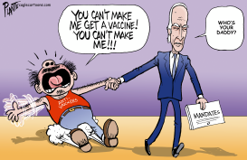 BIDEN'S MANDATES by Bruce Plante