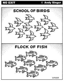 SCHOOL OF BIRDS FLOCK OF FISH by Andy Singer