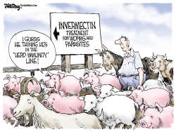 Herd Immunity by Bill Day