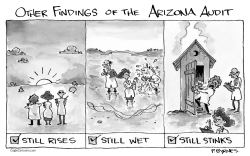 Other Findings of the Arizona Audit by Pat Byrnes