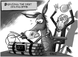 Defusing the debt ceiling by Dave Whamond