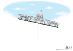 CAPITOL ON THE BRINK by R.J. Matson