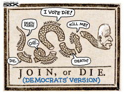 DEMOCRATS VOTE DIE by Steve Sack