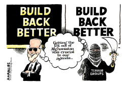 BUILD BACK BETTER by Jimmy Margulies