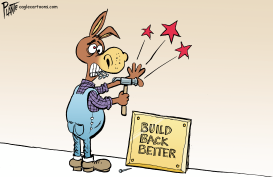 BUILD BACK BETTER by Bruce Plante