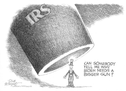 IRS Overreach by Dick Wright