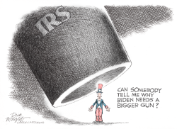 IRS INVASION OF PRIVACY by Dick Wright