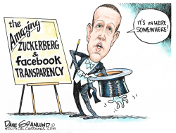 FACEBOOK AND TRANSPARENCY by Dave Granlund
