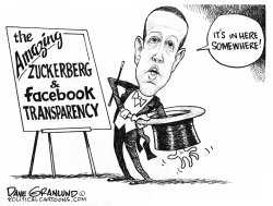 Facebook and transparency by Dave Granlund