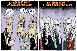 DISSENT IN THE PARTIES by Monte Wolverton