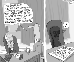 Biden's Burka by Gary McCoy