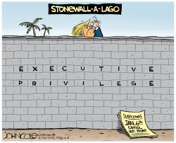 Trump's Stonewall-a-Lago by John Cole
