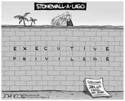 Trump's Stonewall-a-Lago by John Cole