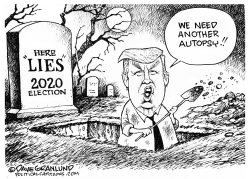 Trump 2020 lies by Dave Granlund