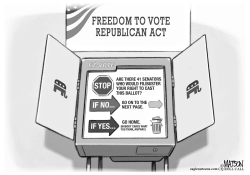 Republican Voting Rights Act by R.J. Matson