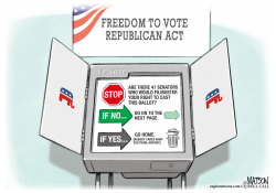 REPUBLICAN VOTING RIGHTS ACT by R.J. Matson