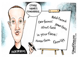 FACEBOOK NAME CHANGE by Dave Granlund