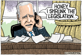 HONEY I SHRUNK THE LEGISLATION by Monte Wolverton