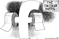 The Facebook Papers by Randall Enos