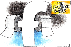 THE FACEBOOK PAPERS by Randall Enos