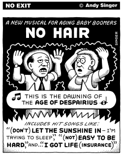 NO HAIR MUSICAL by Andy Singer