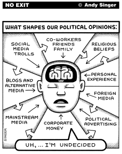 WHAT SHAPES POLITICAL OPINIONS by Andy Singer