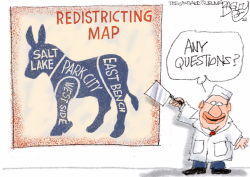 LOCAL: REDISTRICTING MAP by Pat Bagley