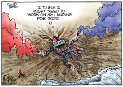 DEMOCRATS ROUGH LANDING by Christopher Weyant