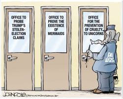 STOLEN ELECTIONS, MERMAIDS AND UNICORNS by John Cole