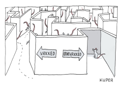 VACCINATION MAZE by Peter Kuper