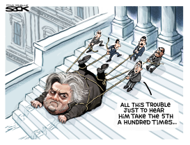 BANNON BAGGED by Steve Sack