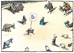 CHRISTMAS IS COMING. by Jos Collignon