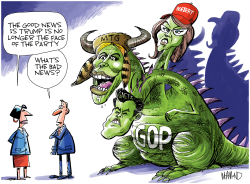 FACE OF THE REPUBLICAN PARTY by Dave Whamond