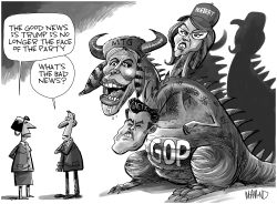 Face of the Republican Party by Dave Whamond