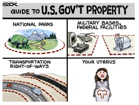 GOVERNMENT PROPERTY by Steve Sack