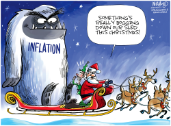 CHRISTMAS INFLATION by Dave Whamond