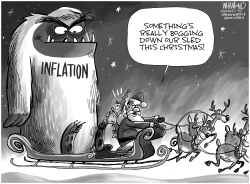 Christmas Inflation by Dave Whamond