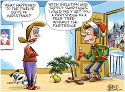 12 DAYS OF CHRISTMAS INFLATION by Dave Whamond