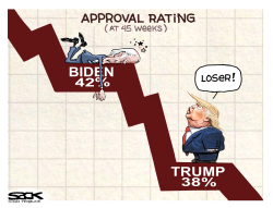 POLL CATS by Steve Sack
