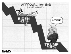 Poll Cats by Steve Sack