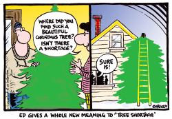 NEW MEANING TO A TREE SHORTAGE by Ingrid Rice