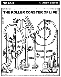 ROLLER COASTER OF LIFE by Andy Singer