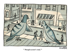 BIRDS AREN'T REAL by Peter Kuper